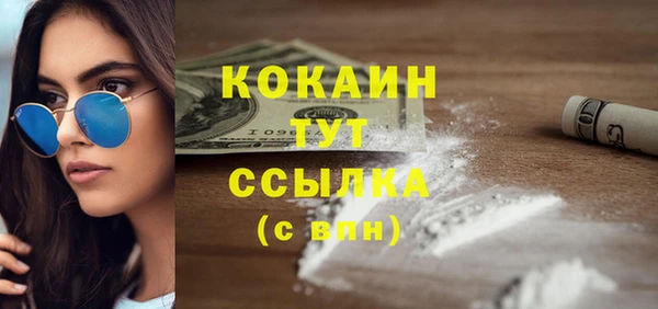 гидропоника Богданович