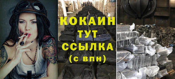 гидропоника Богданович